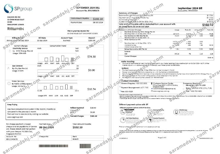 Singapore SP Group business utility bill template in Word and PDF formats (2 pages)
